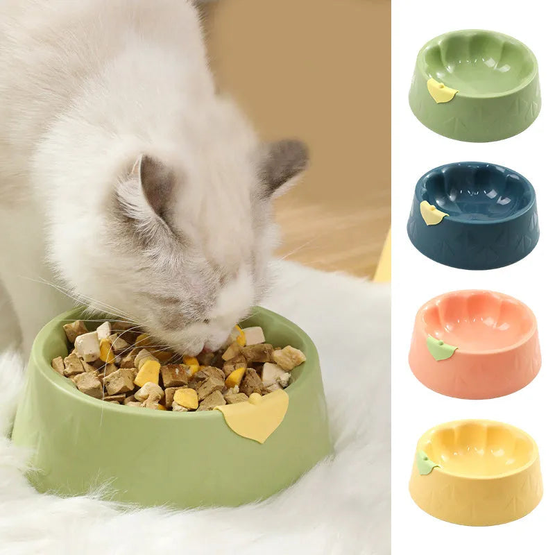 Plastic double pet bowl with flower design in blue colour showing food and water compartments