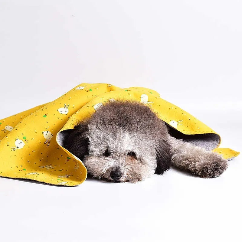 A soft cotton velvet pet blanket with a colourful dinosaur print, shown folded next to a dog bed.
