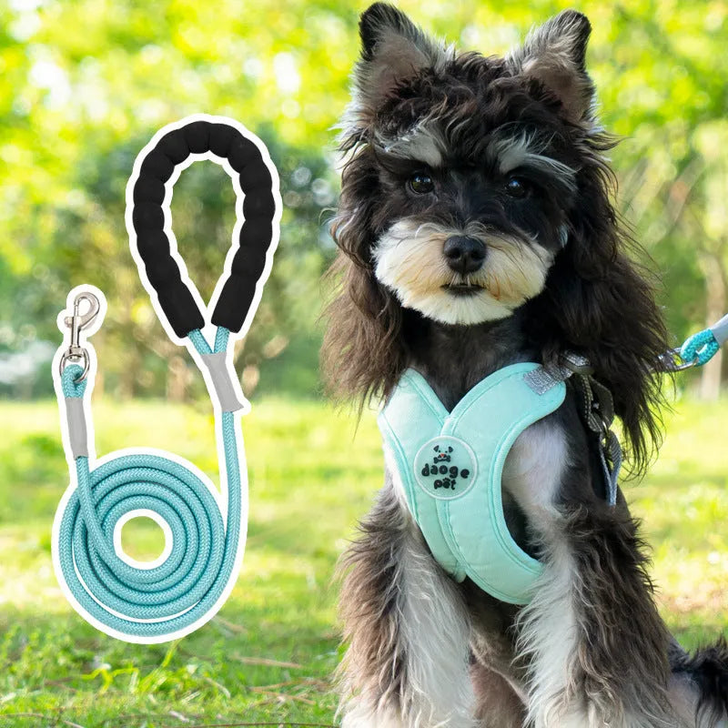 Adjustable dog harness and leash set in blue polyester with vest and hand-holding rope
