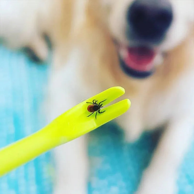 Three plastic tick removal hook tools for pet grooming in blue and green colours