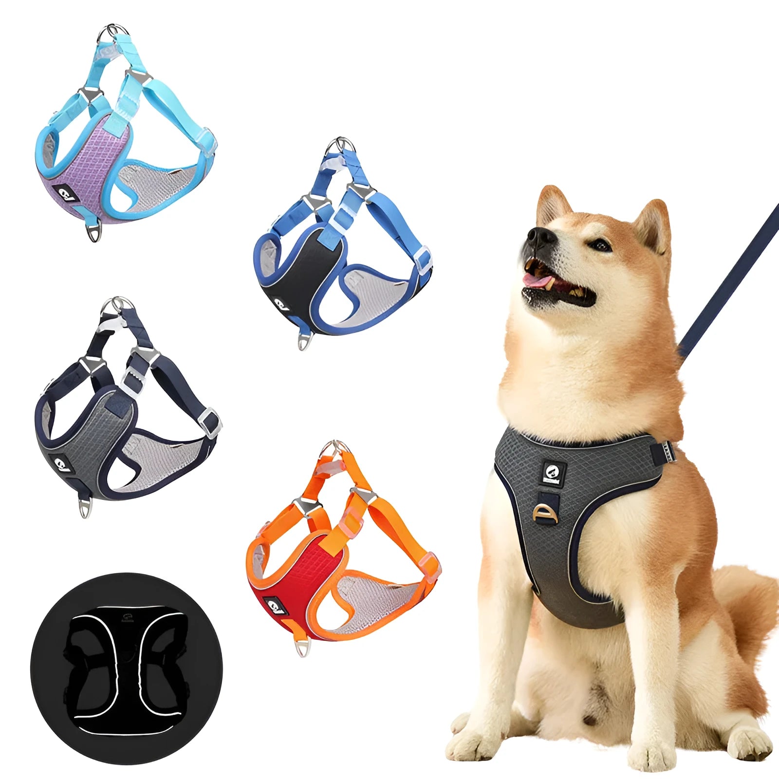 Adjustable breathable mesh dog harness with reflective piping in multiple colour options