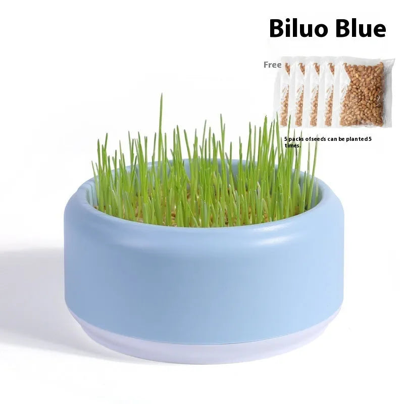 Blue hydroponic cat grass kit with plastic cup and seed packs for soilless indoor growing
