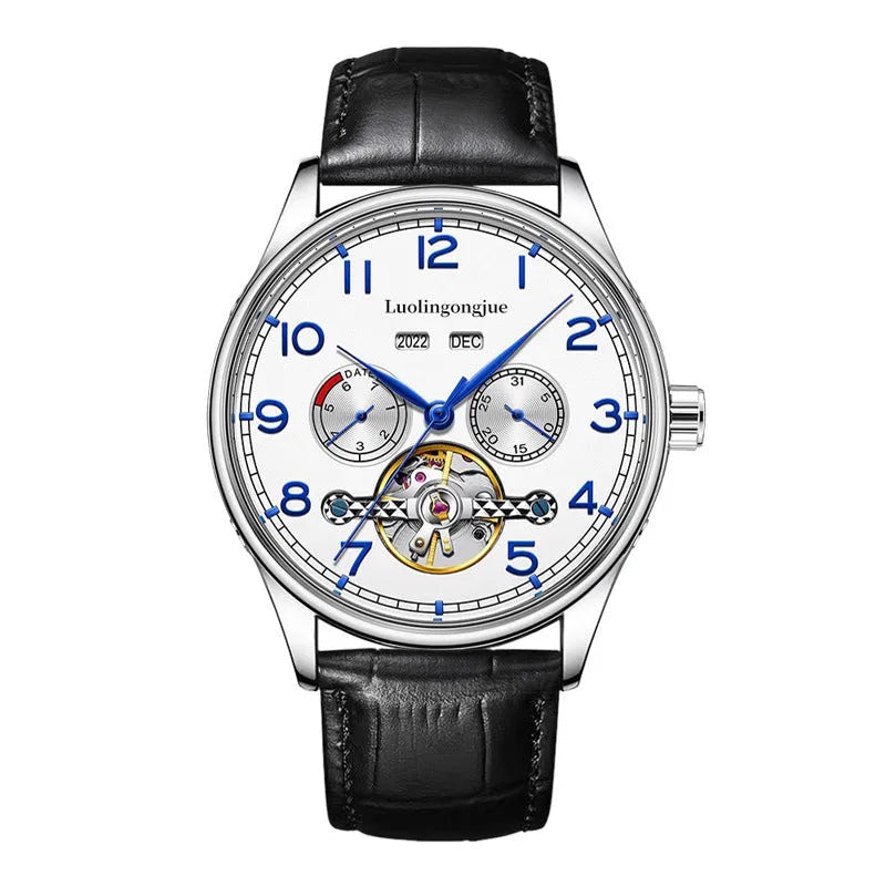 Men's stainless steel mechanical watch with sapphire crystal glass and genuine leather strap