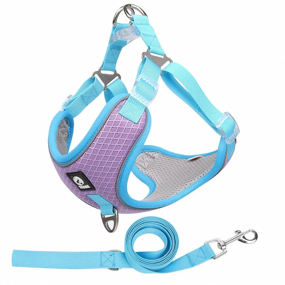 Adjustable breathable mesh dog harness with reflective piping in multiple colour options