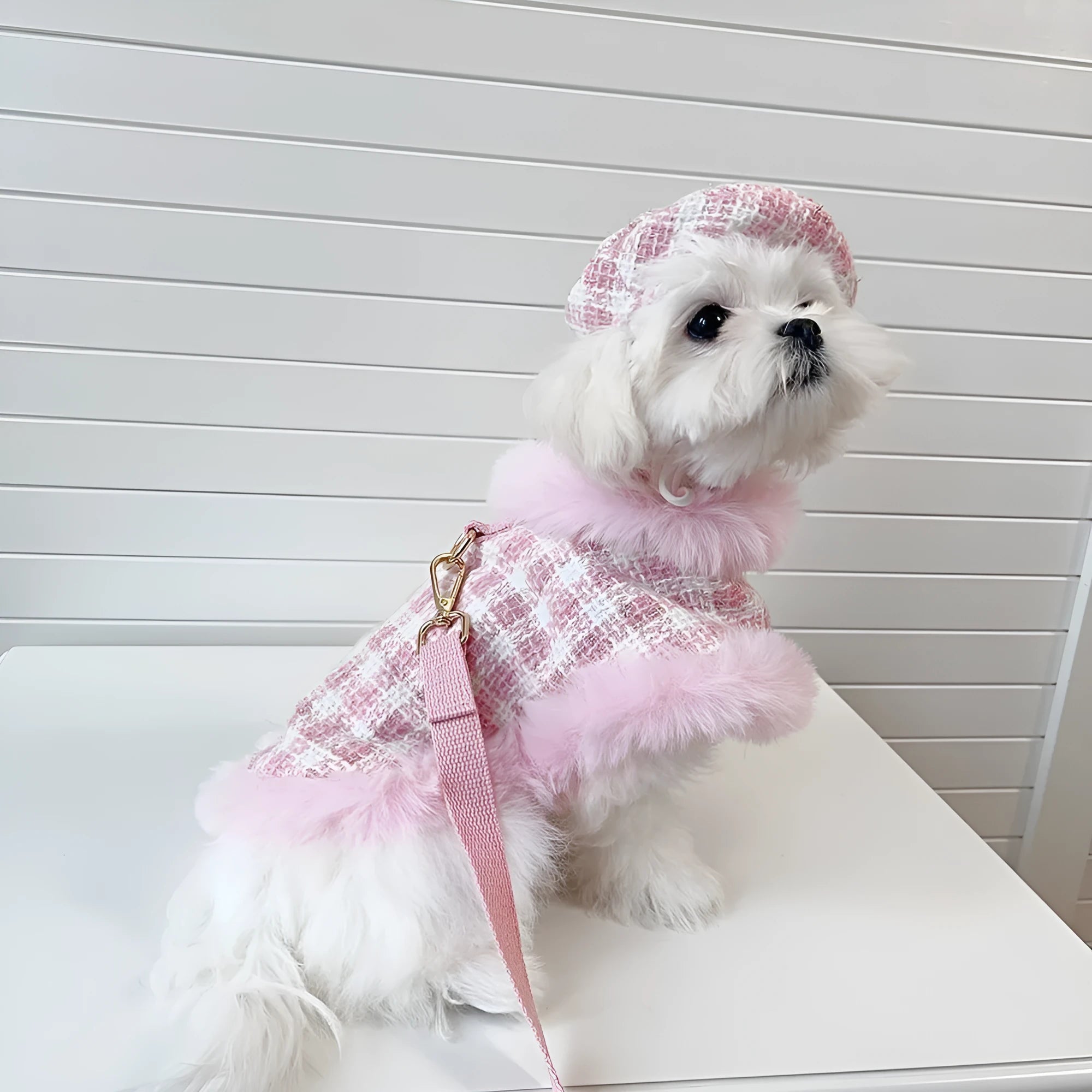 Pink polyester cat traction clothing set with cape, beret, and hand-holding rope in five sizes