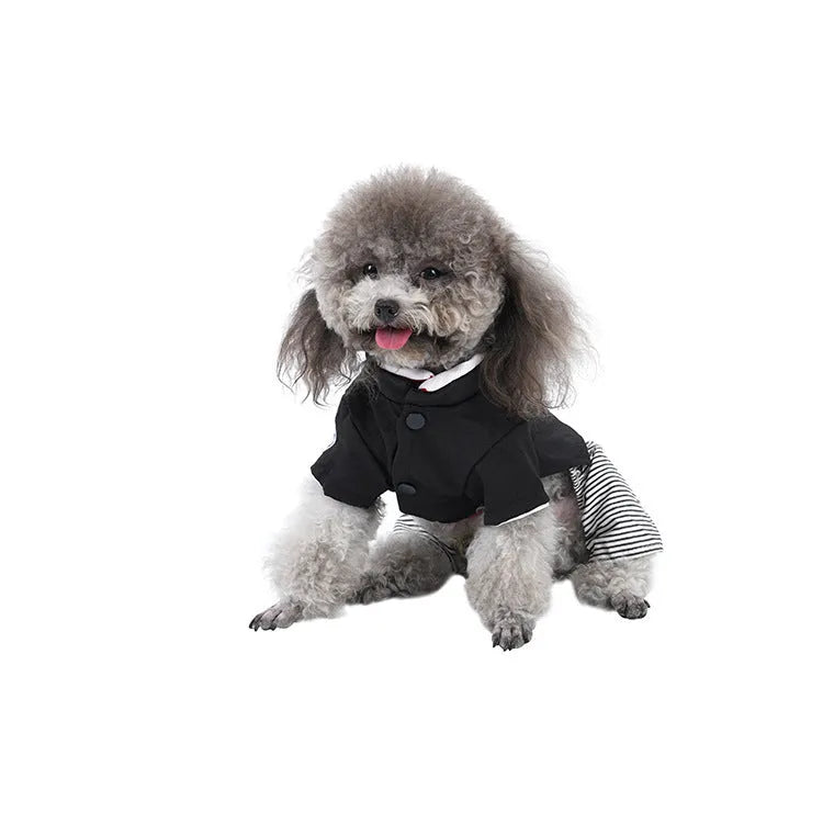 Thin cotton poodle clothing in skirt and trouser styles for warm weather