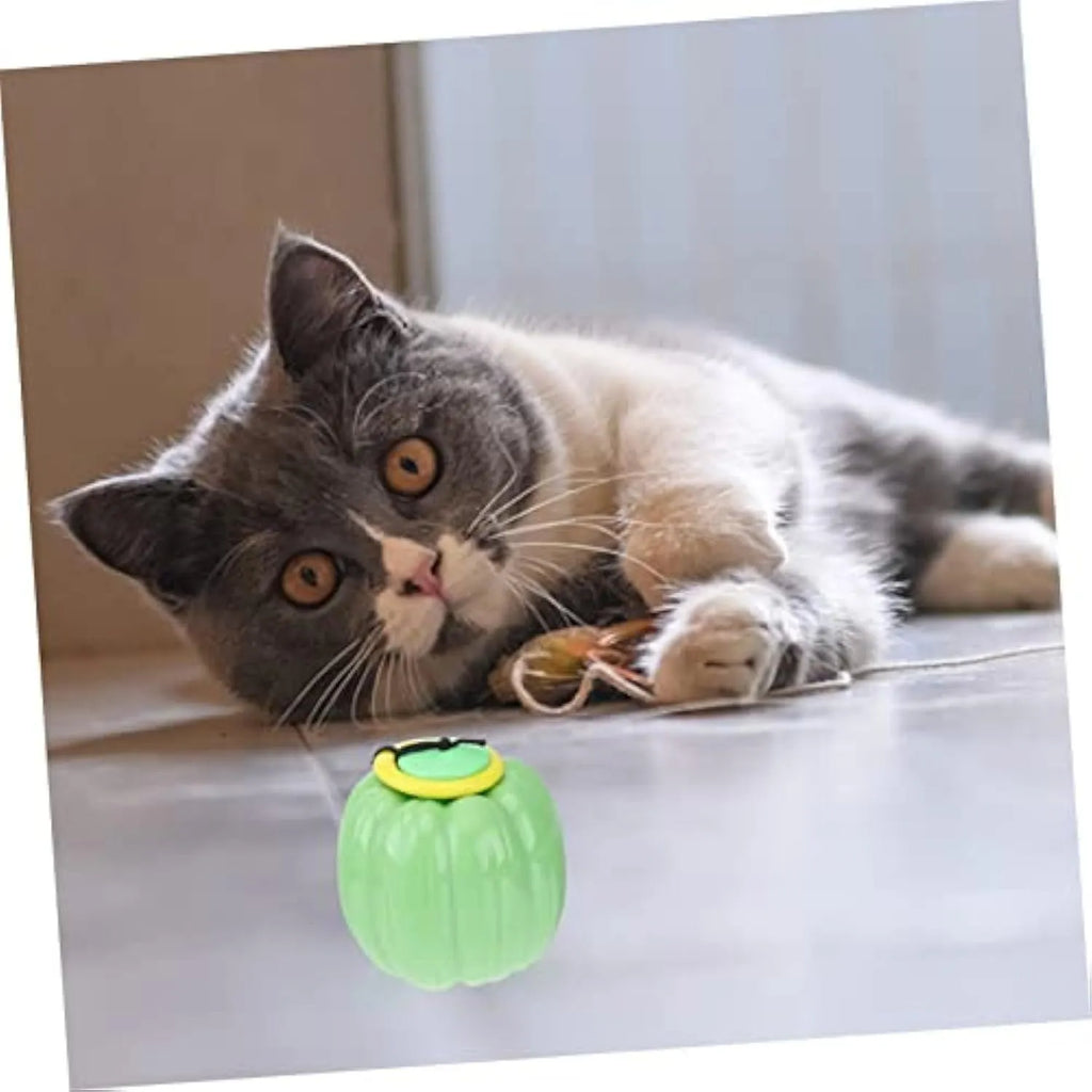 Plastic pumpkin-shaped squeaker dog ball for small dogs, 69mm diameter