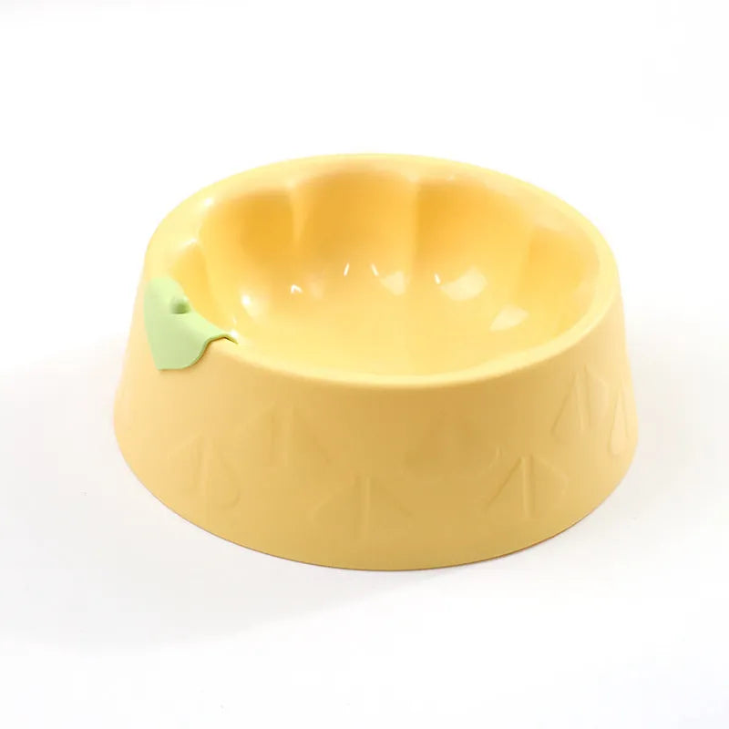 Plastic double pet bowl with flower design in blue colour showing food and water compartments