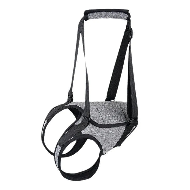 Grey neoprene recovery belt for injured dog rear leg support with adjustable fastenings