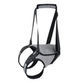 Grey neoprene recovery belt for injured dog rear leg support with adjustable fastenings
