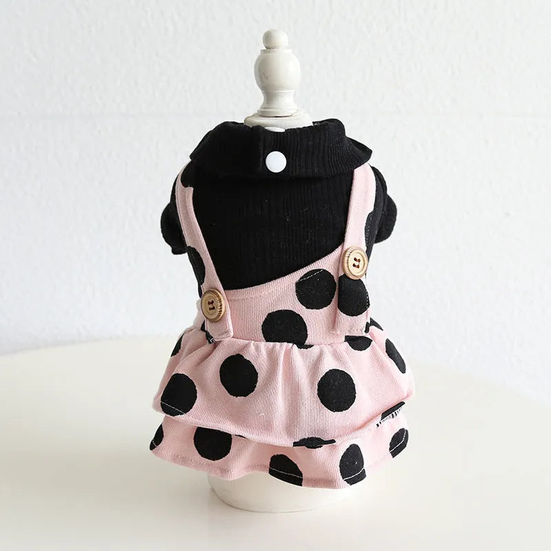 Petstyle lapel collar dog clothing in a four-legged suit style on a model dog.
