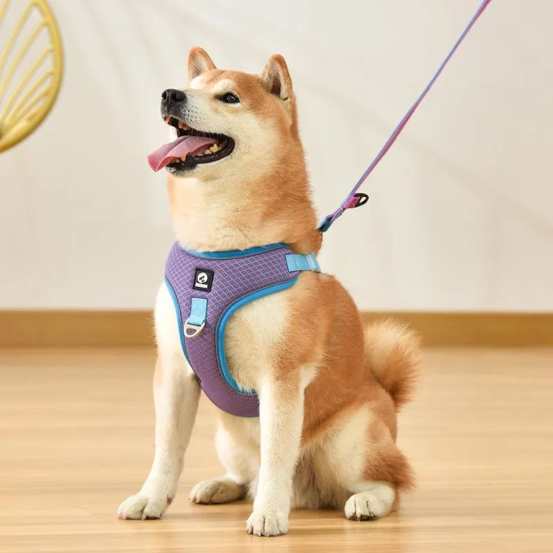 Adjustable breathable mesh dog harness with reflective piping in multiple colour options