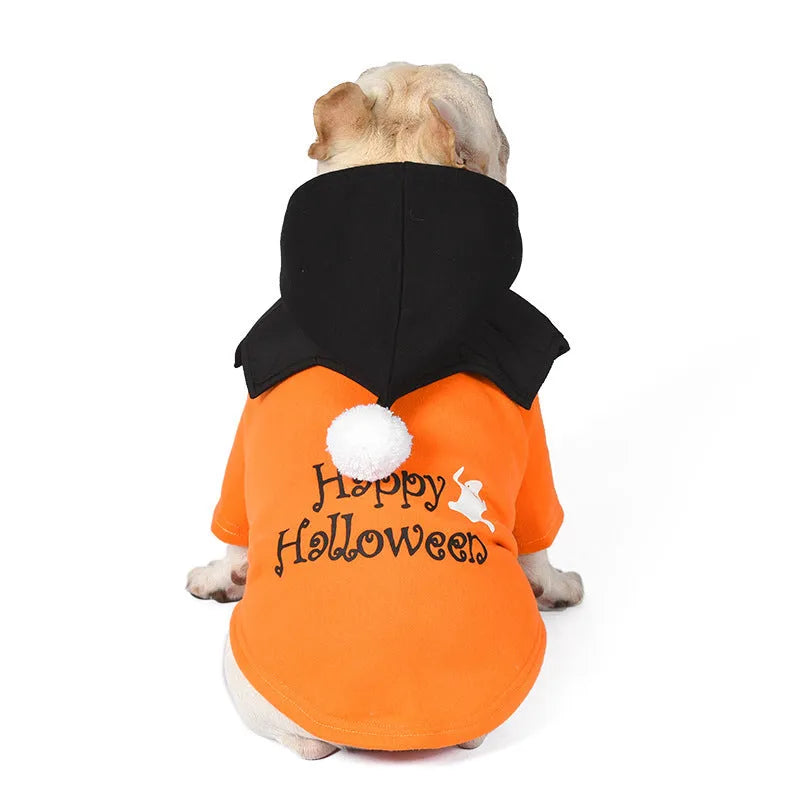 Halloween pumpkin dog costume with black and orange cotton sweater and matching shawl