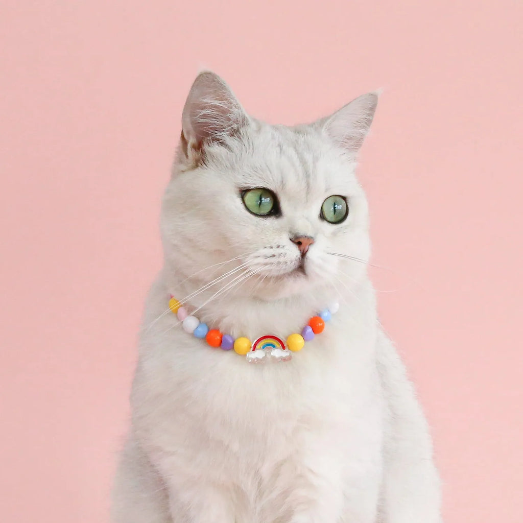 Colourful plastic pearl bead pet necklace for dogs and cats with adjustable sizing options