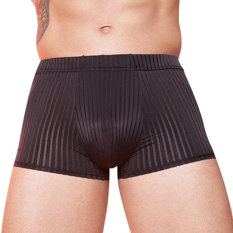 Men's striped underwear set in black, white, and dark grey colours showing thin transparent nylon fabric