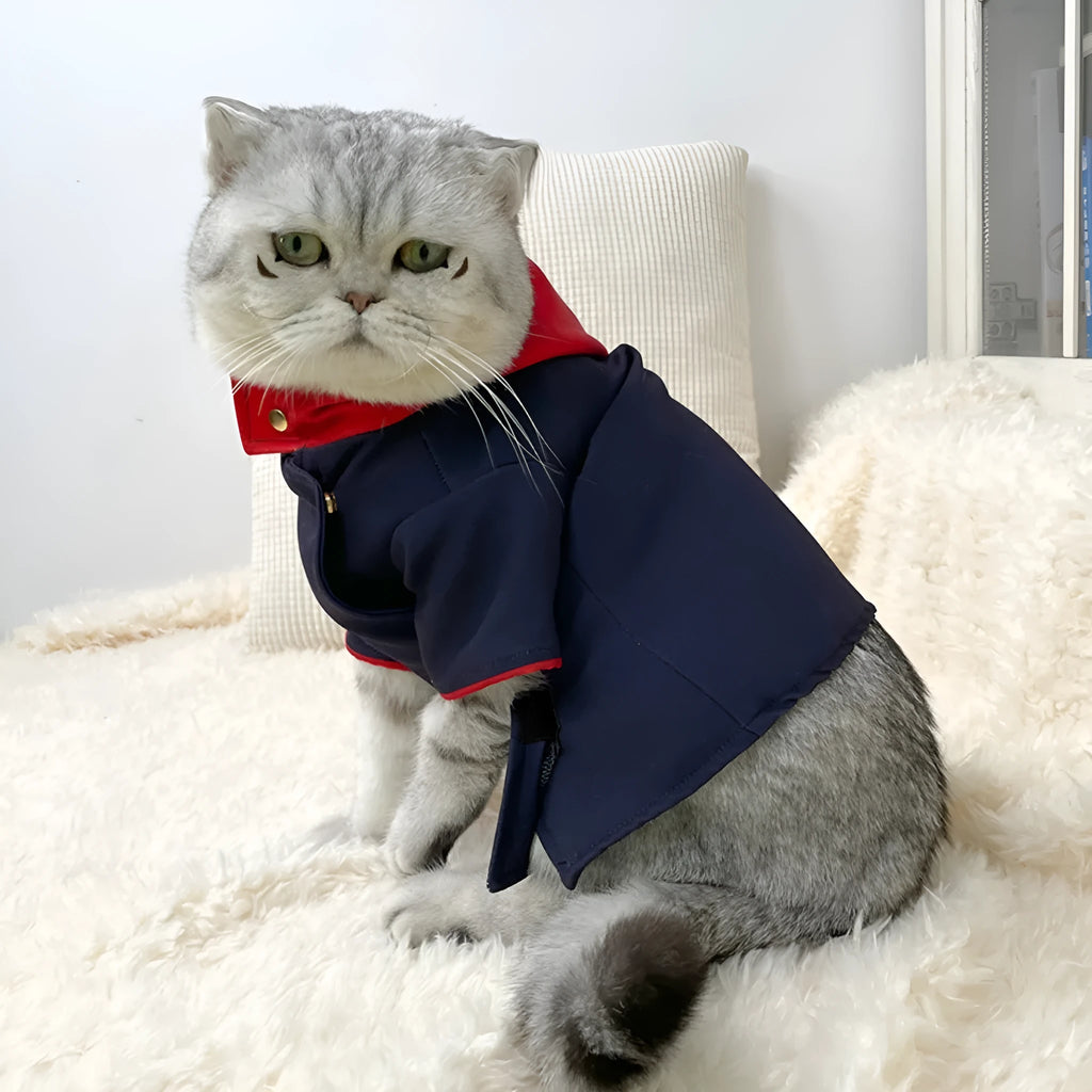 Cat and dog hoodie photo prop in Tiger Staff Yuren colour pattern for small to medium pets.