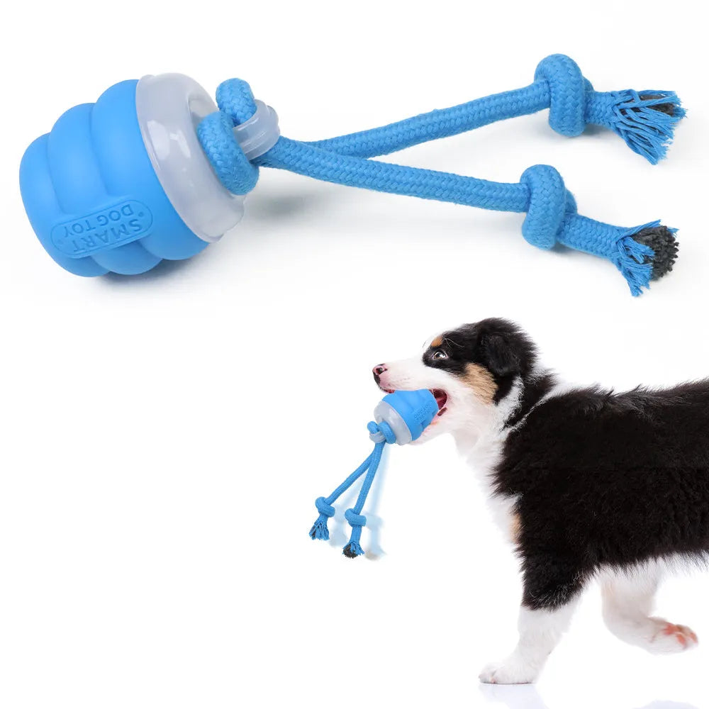 Sapphire blue electric toy ball with built-in dog leash for small and medium dogs