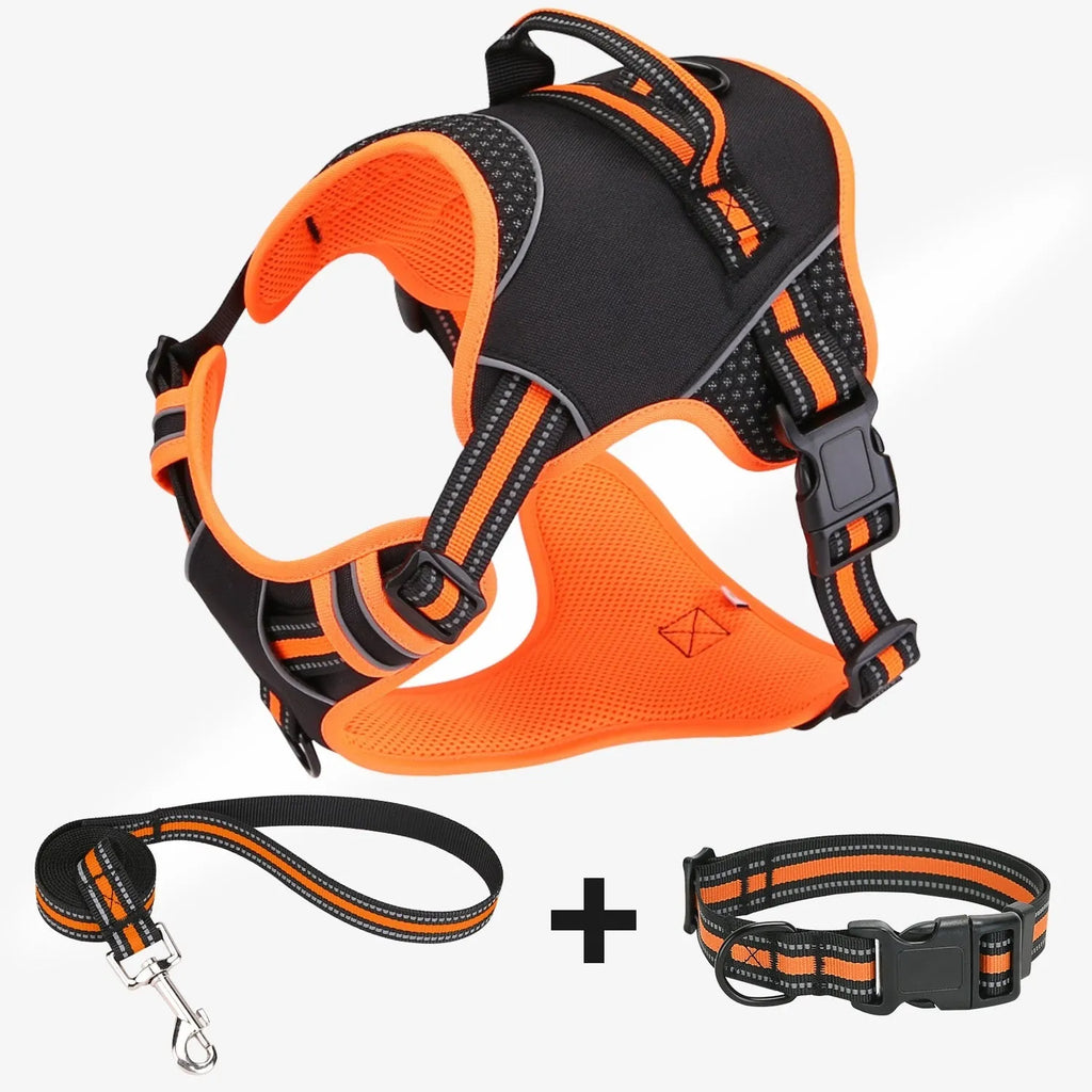 Yellow or orange polyester dog harness with traction strap for outdoor training control