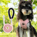 Adjustable dog harness and leash set in blue polyester with vest and hand-holding rope