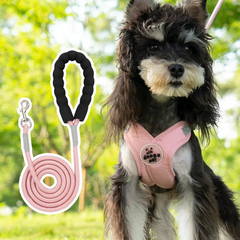 Adjustable dog harness and leash set in blue polyester with vest and hand-holding rope