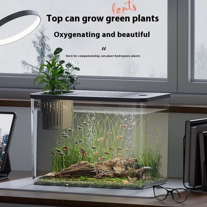 Black or white plastic betta fish tank with cover measuring 32cm wide by 18.5cm deep by 23cm high