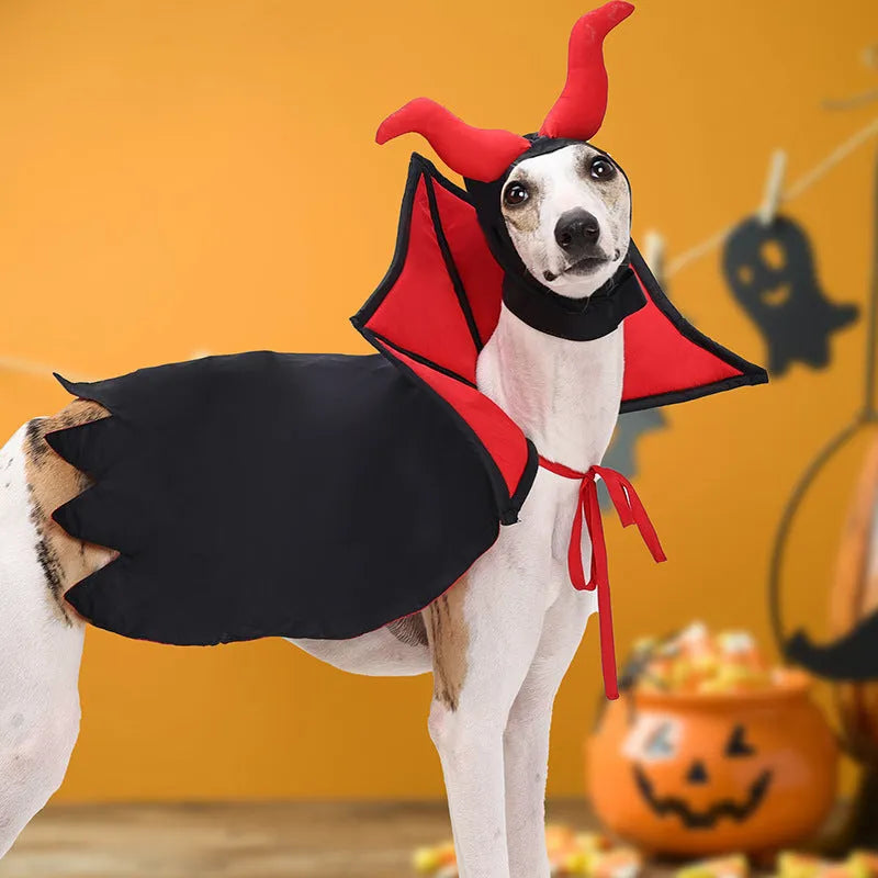 Black vampire cloak and hat costume set for a small dog or cat on Halloween.