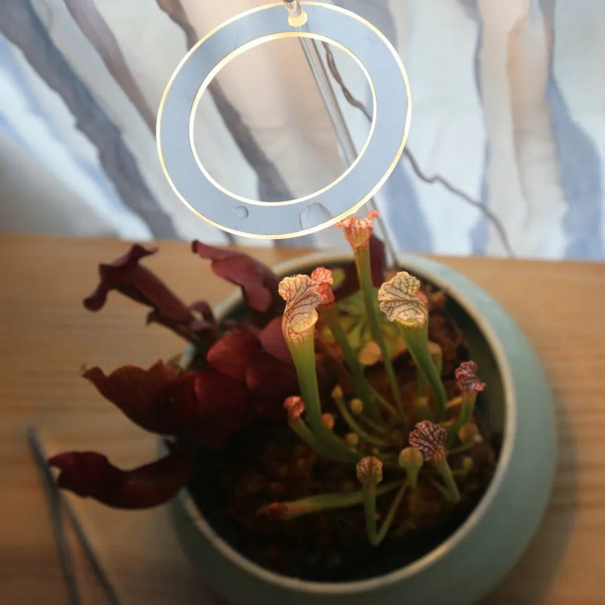 USB LED plant growth light with transparent housing and acrylic mounting stick