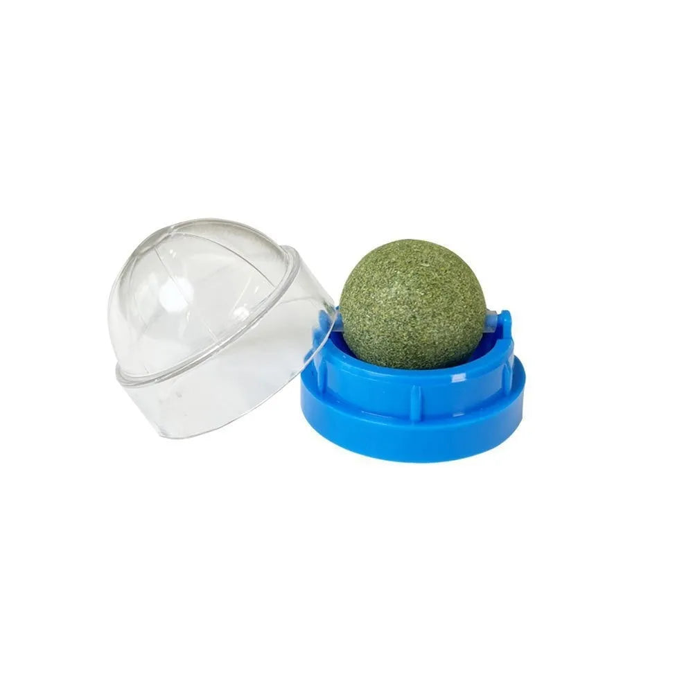 Plastic catnip ball toy with teeth cleaning design in various colours including pink, blue, green, and avocado mint