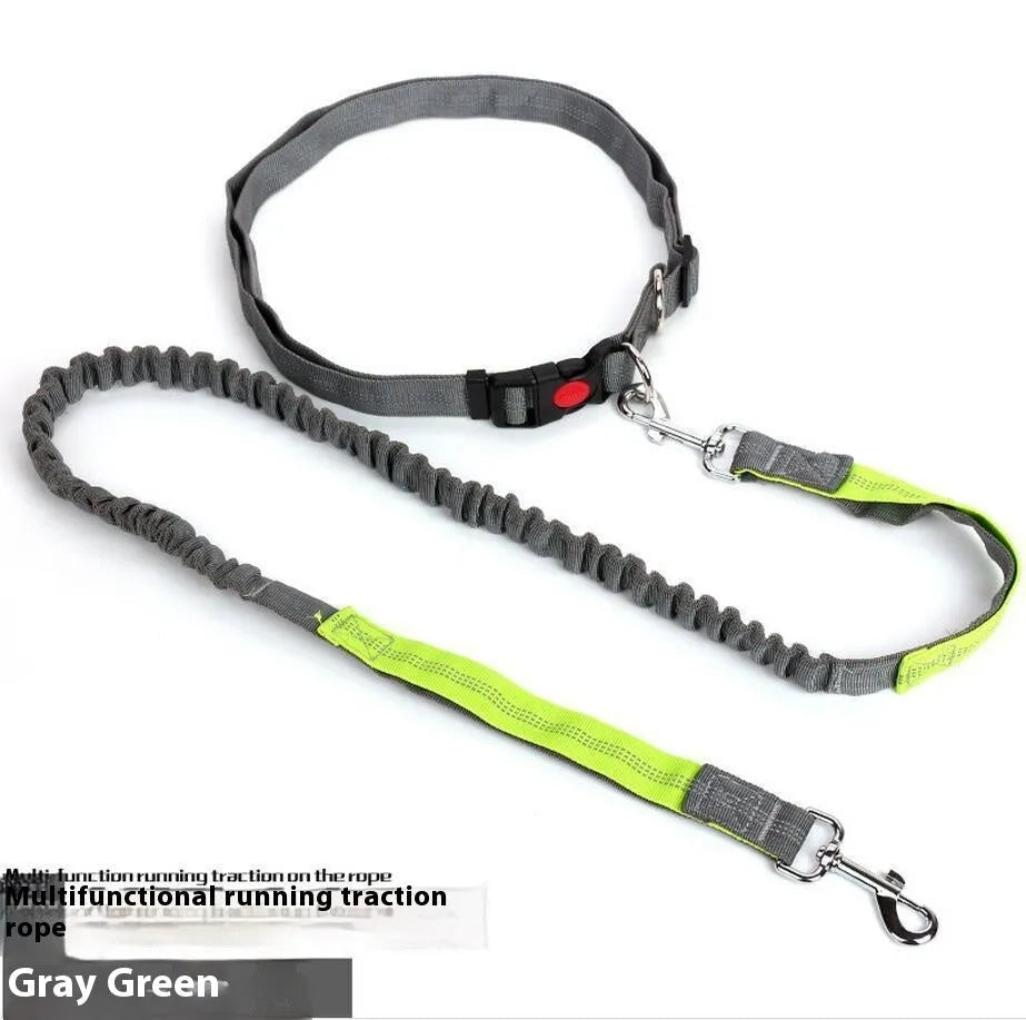 Grey and green elastic dog leash with reflective strip, showing clip and 2.5cm nylon width.