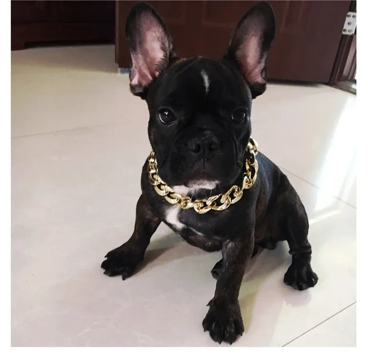 Geometric chain dog collar with gold finish and adjustable buckle for small to medium-sized dogs