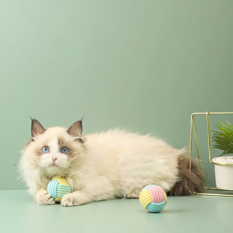 5cm diameter cotton plush cat toy in blue powder, green blue, or pink green colours for teeth grinding