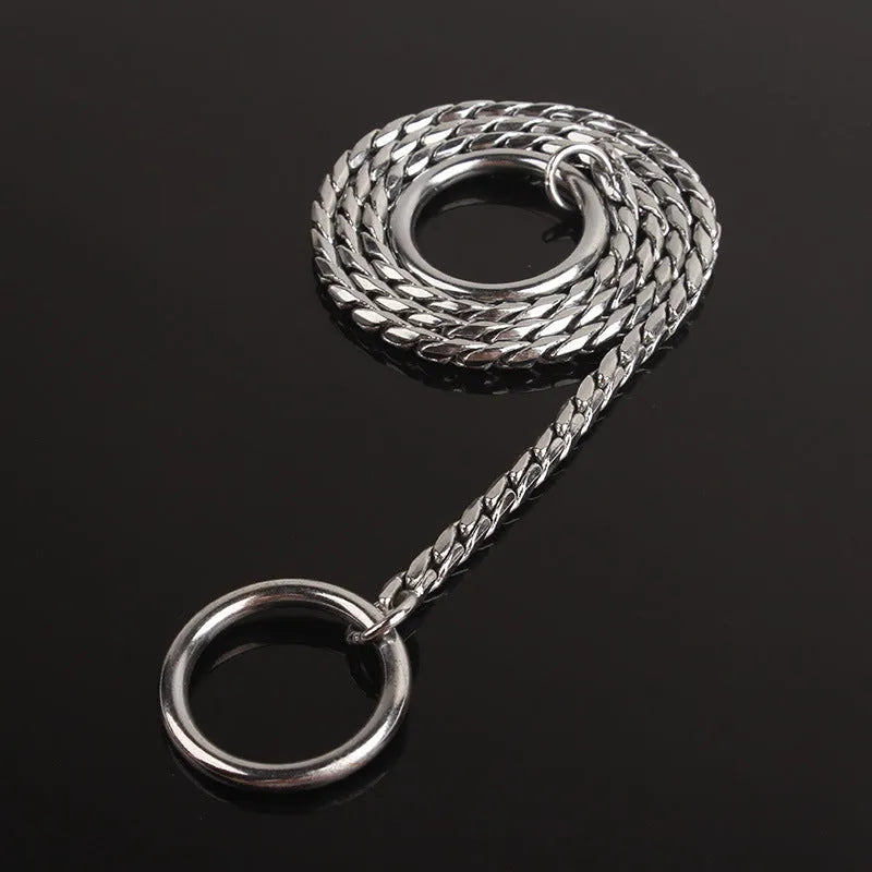 Metal dog collar in silver finish on white background with metal buckle