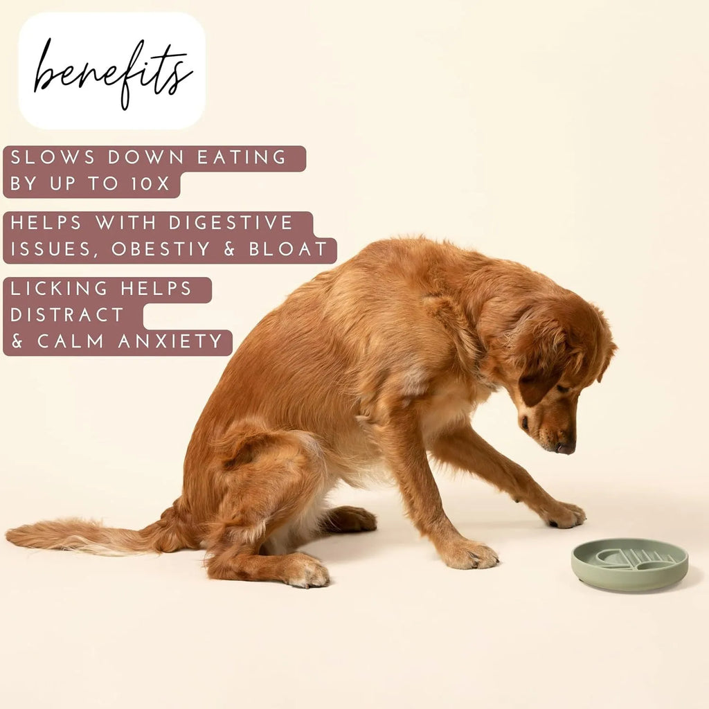 Silicone slow feeder dog bowl with textured ridges, shown in charcoal ash colour.