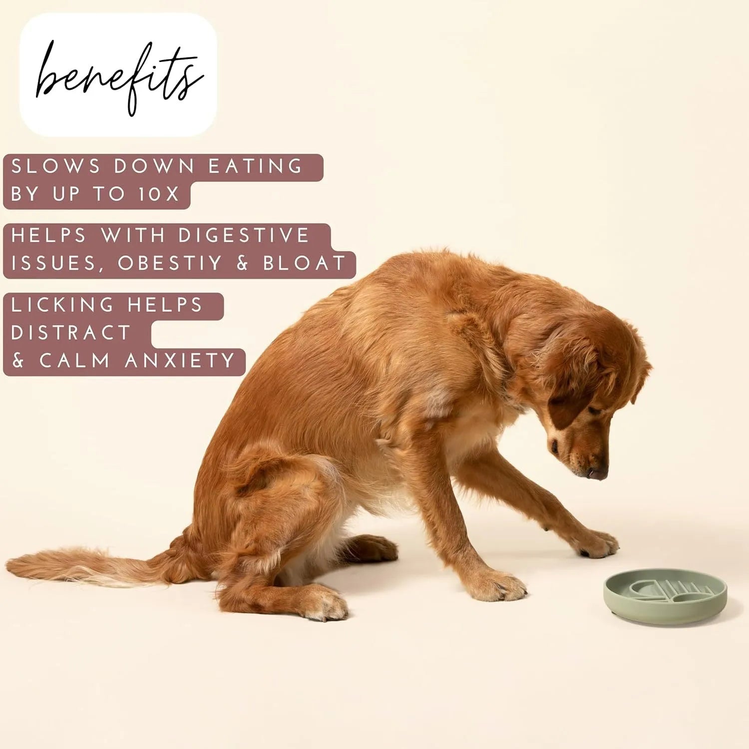 Silicone slow feeder dog bowl with textured ridges, shown in charcoal ash colour.