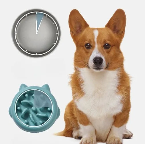Bone-shaped slow feeder pet bowl in PP plastic showing interior maze design for slower eating