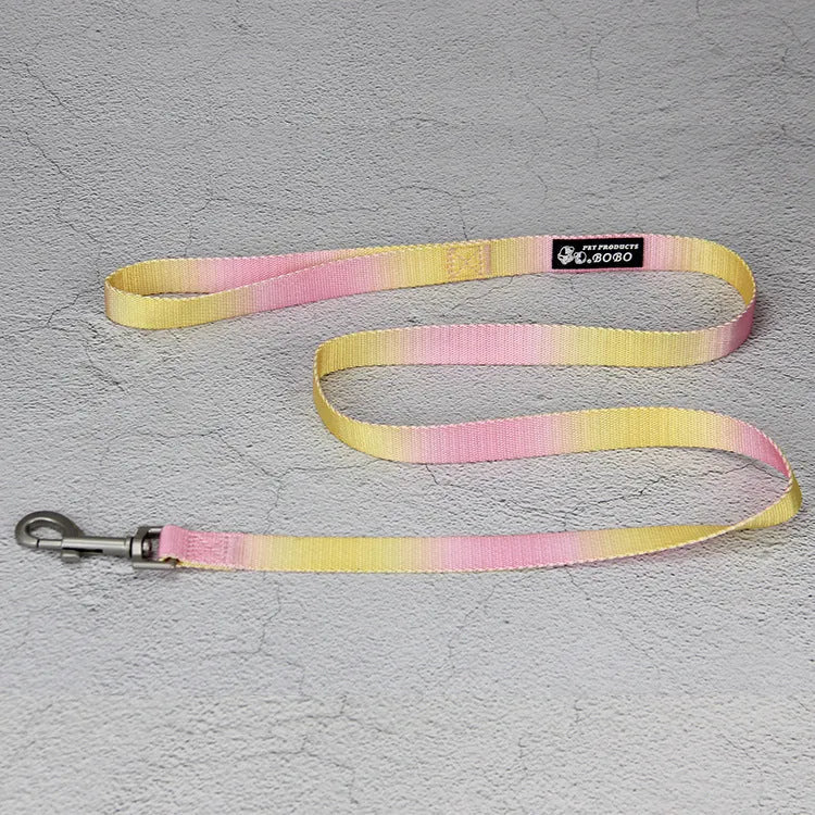 Gradient colour nylon dog leash in pink and yellow, shown as a collar-style lead.