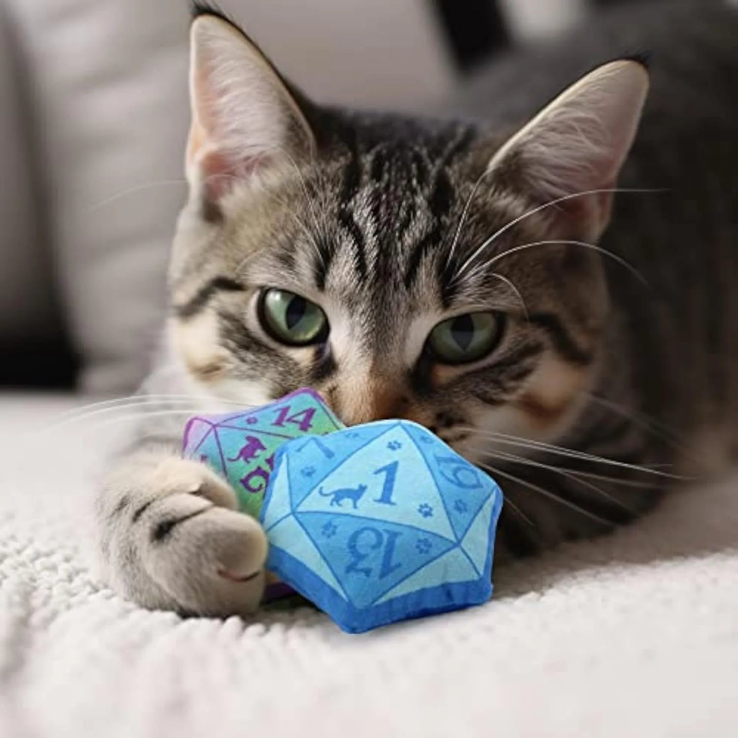 Dice-shaped plush catnip toy in various colours for DND tabletop game cat play