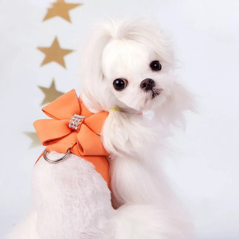 Puppy wearing a blue microfiber chest strap with a decorative bowknot, showing the adjustable lead attachment.