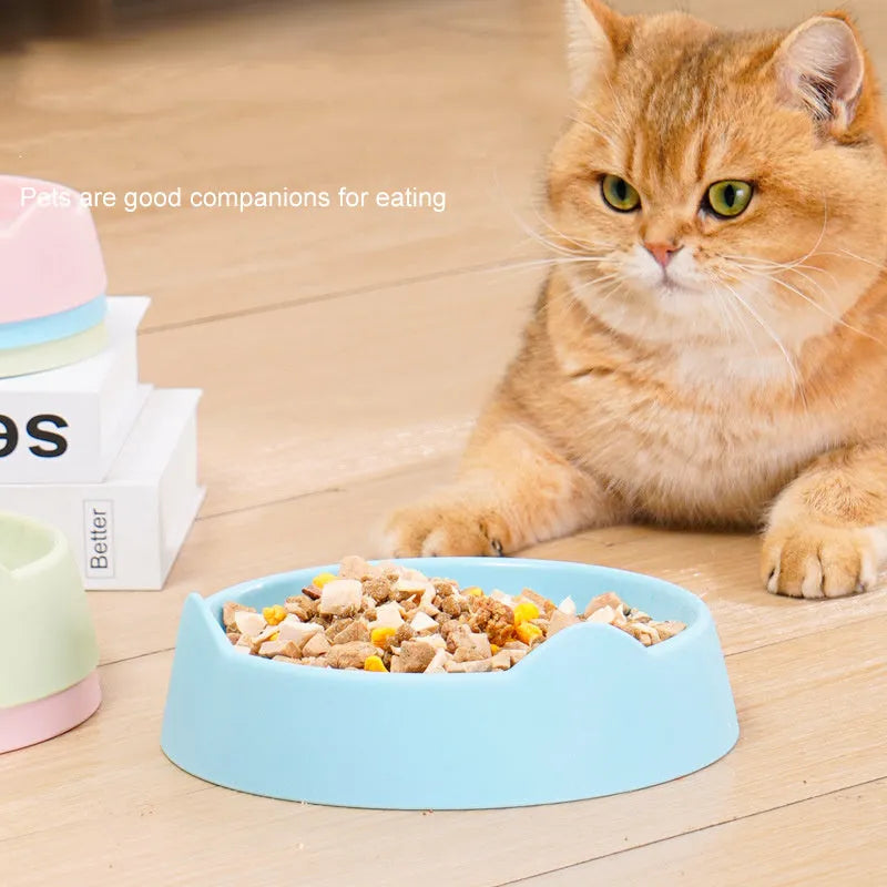 Ceramic dog slow feeder bowl with maze pattern in blue, green, or pink colour for small medium large breed puppies