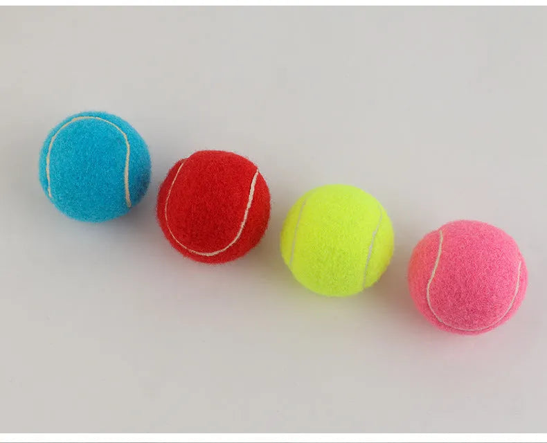 6.3cm rubber dog tennis ball in bright colours for bite-resistant fetch and training