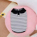 Dog wearing cotton summer stripes T-shirt and matching skirt set