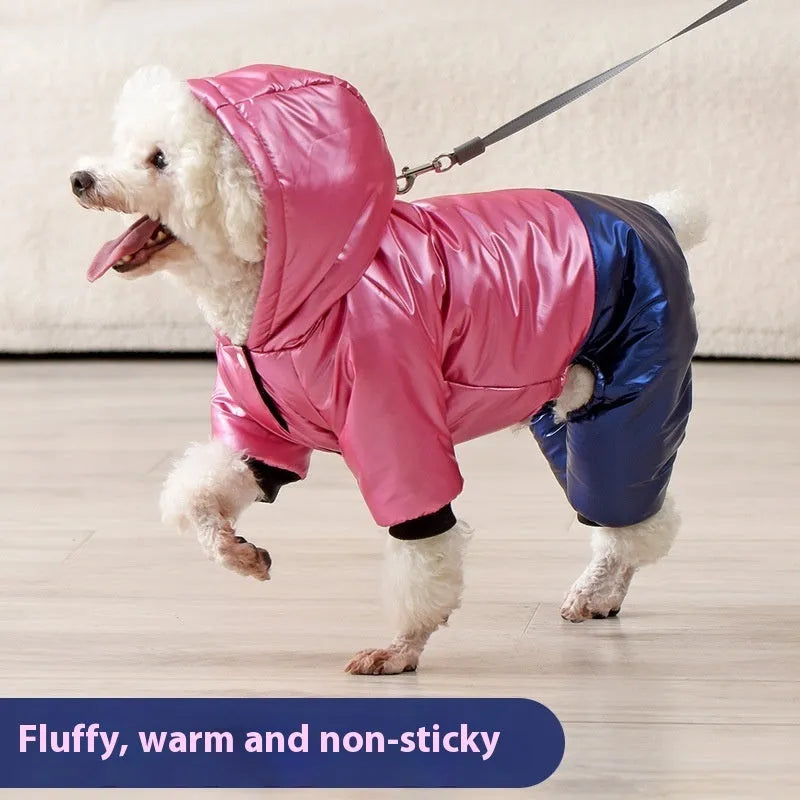 Green waterproof cotton padded dog coat with four-legged design on medium-sized dog