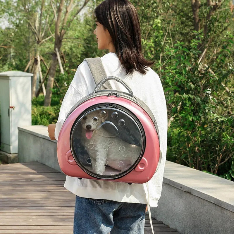 Transparent space capsule cat travel carrier in metallic colours with breathable design