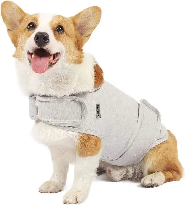 Dog wearing brocade cotton calming tank top for separation anxiety relief in Rose Red colour