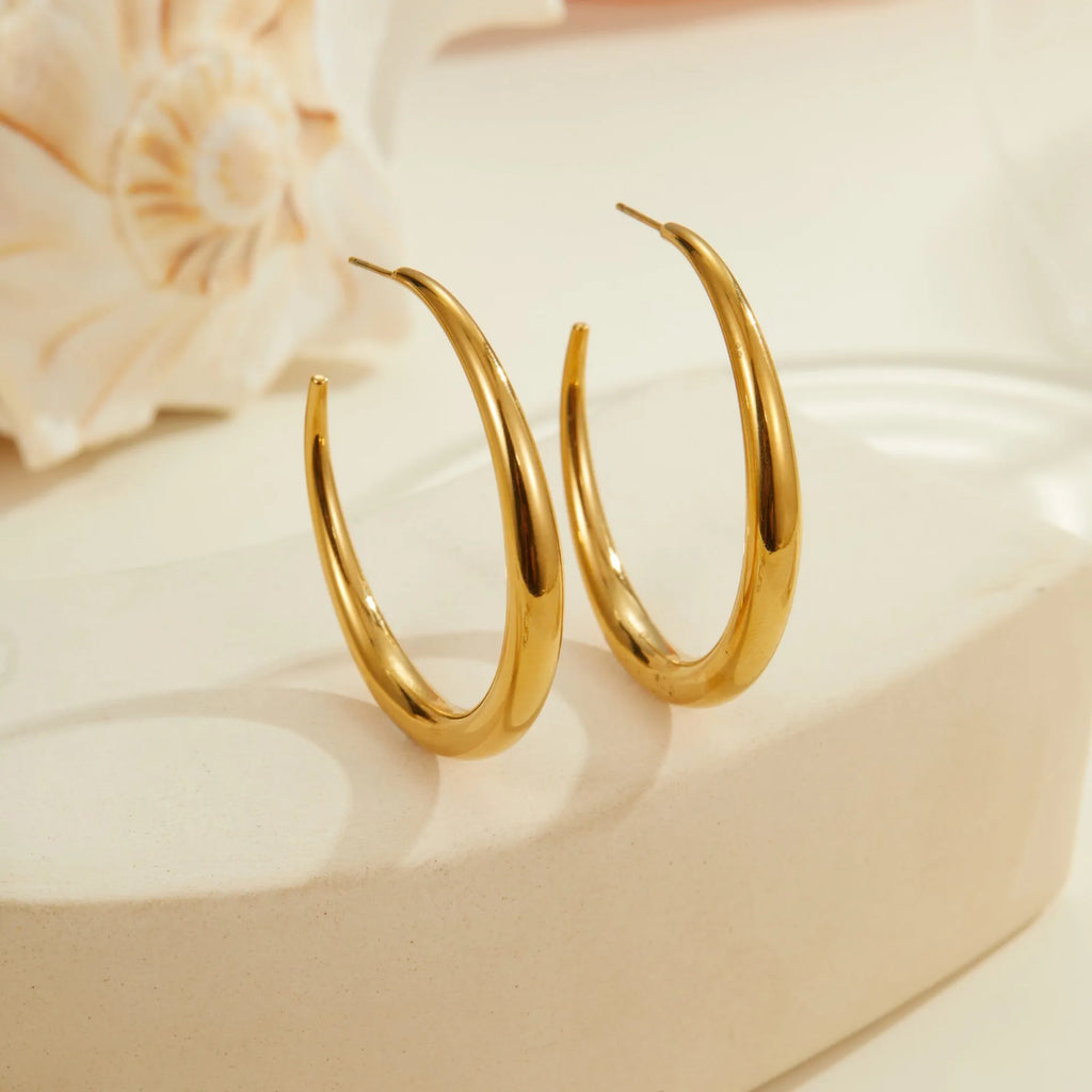 Titanium steel hoop earrings with geometric round shape in gold and steel colour options