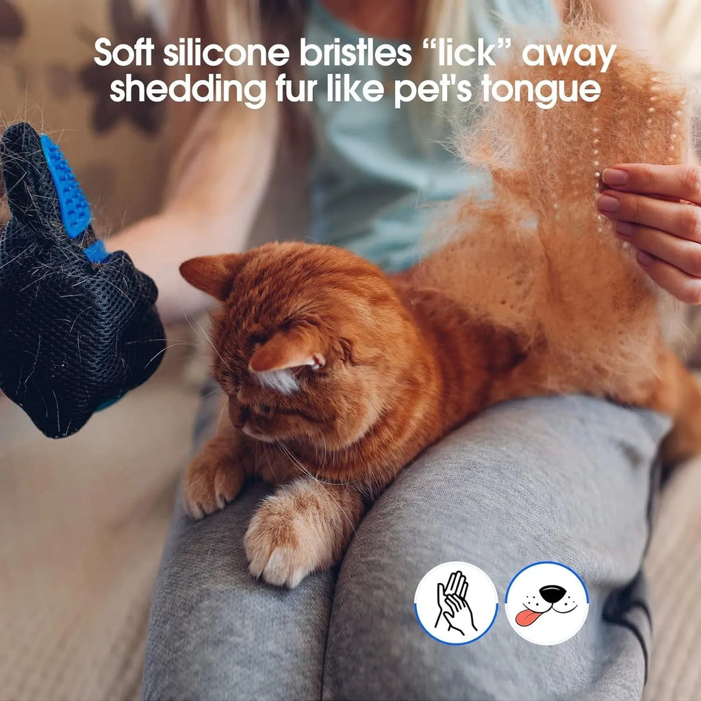 Blue pet grooming gloves with silicone tips for brushing and bathing dogs and cats.