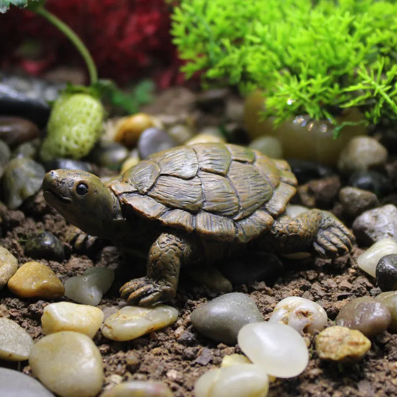 Realistic resin turtle decoration for miniature gardens and displays with natural colour variations