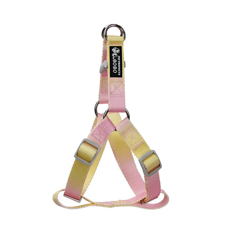 Gradient colour nylon dog leash in pink and yellow, shown as a collar-style lead.