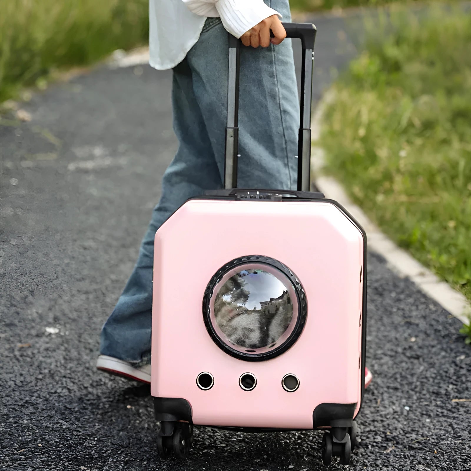 Hard-shell PVC pet flight trolley case in orange colour with wheels and pull handle