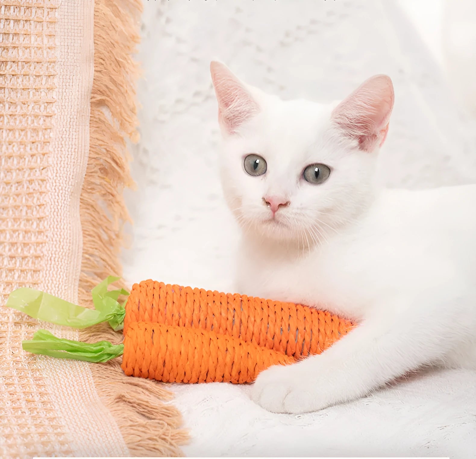 Multipack of cat toys including paper carrots, jingling stones, cat sticks, and tooth grinding sticks in two size options
